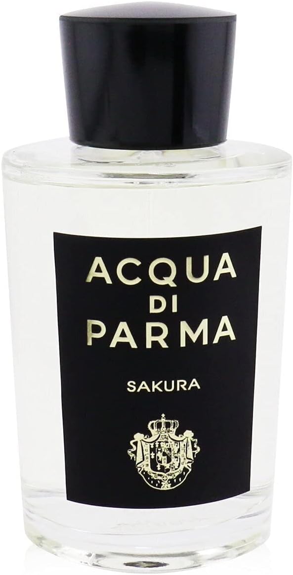 51uaq3wRBLL._AC_SL1500_